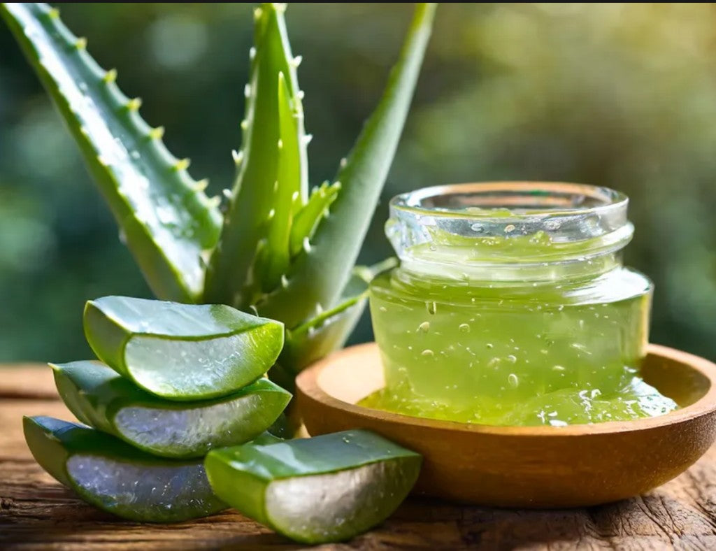 Aloe vera