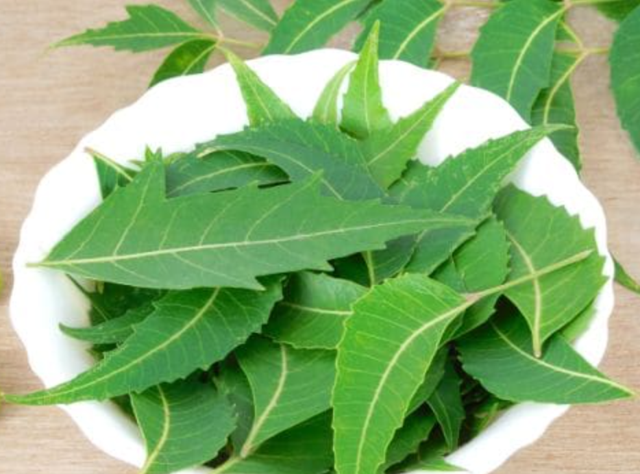Neem